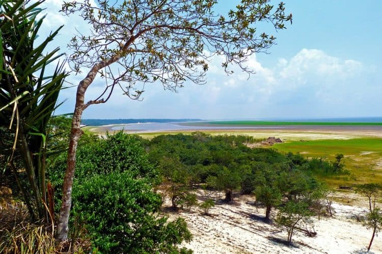 Programa Bolsa Floresta como funciona